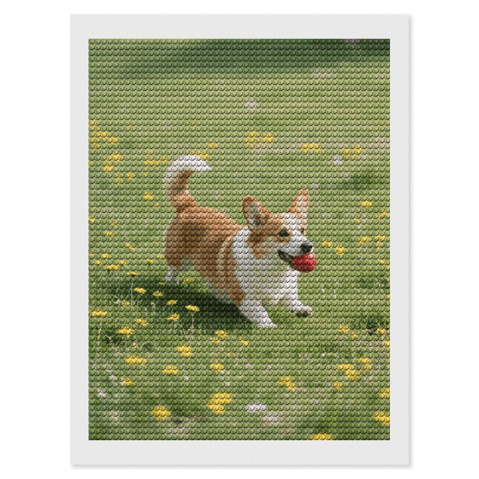 FodPand Corgi 5D Diamond Painting Kits for Adults Beginners Full Drill Round Diamond Dots Pictures Gem Art Supplies for Home Wall Room Decoration DIY Craft Set Gift 12x16