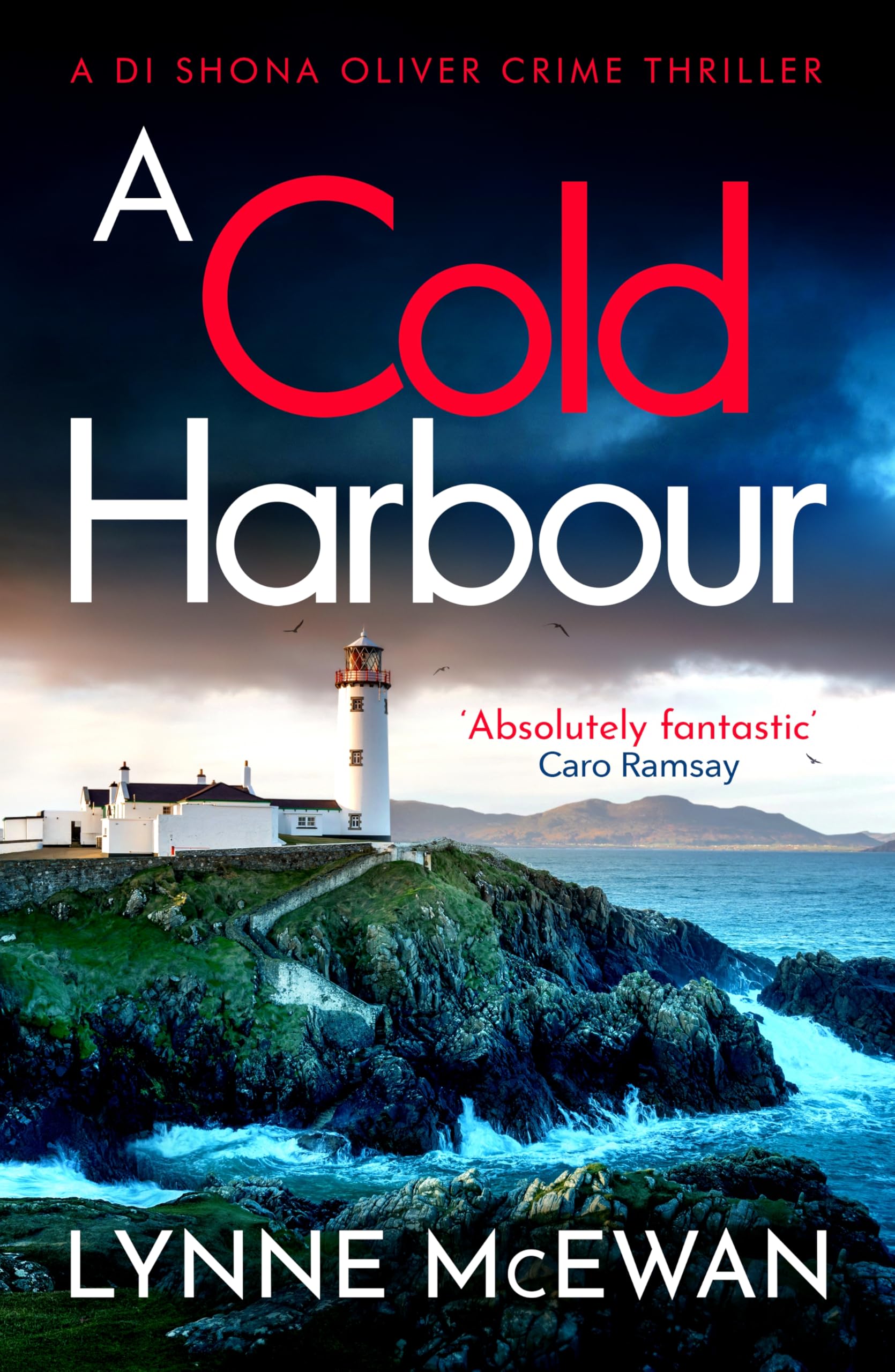 A Cold Harbour: A fast-paced Scottish crime thriller full of mystery and suspense (Detective Shona Oliver, 7)