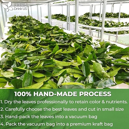 Miniatura 6 de Hojas secas de graviola de guanábana prémium de 4.5 onzas (cortadas y tamizadas), hojas de guanábana 100% naturales, puras, elaboradas en el medio