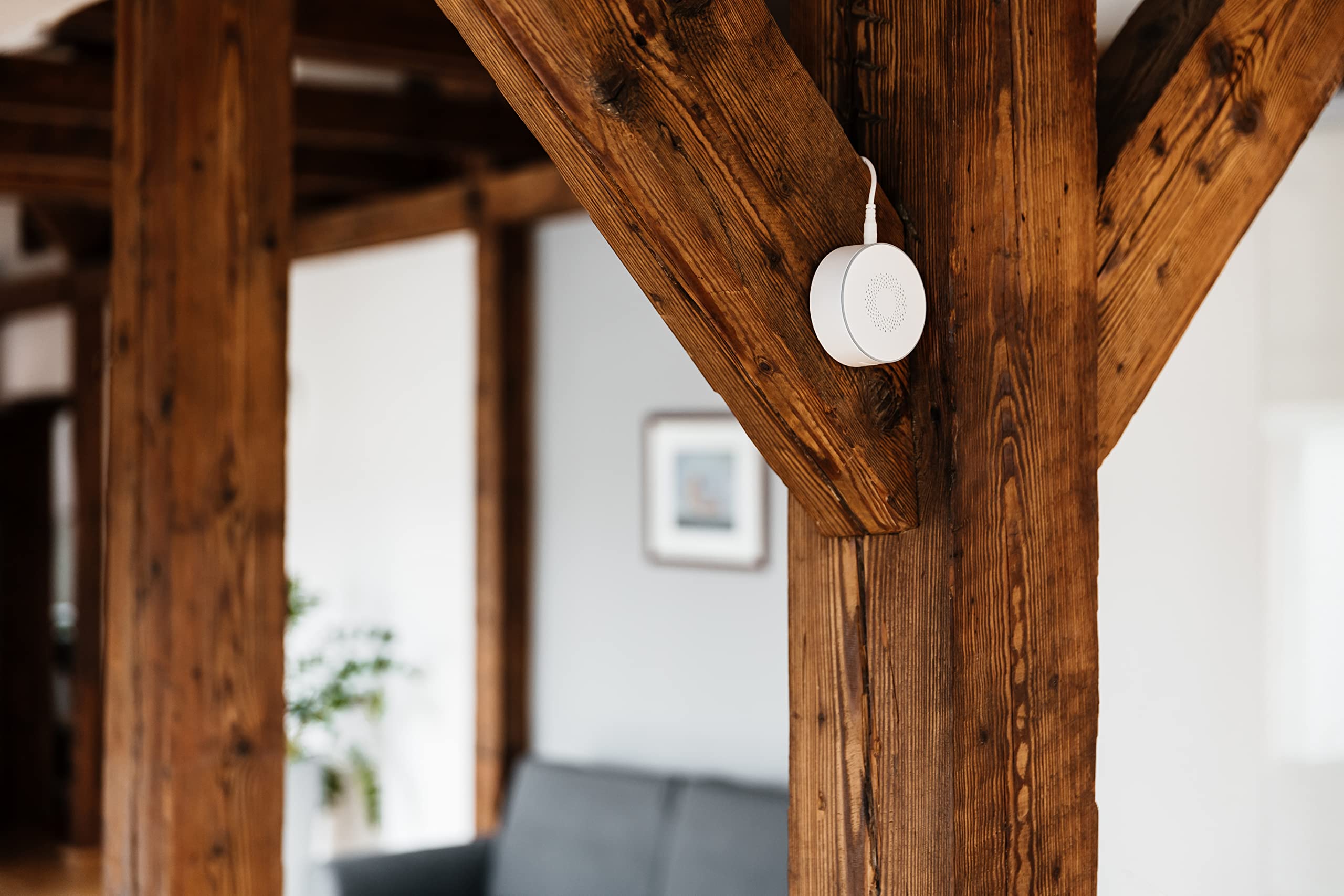Sirena Inteligente Tesla para el hogar Inteligente Zigbee