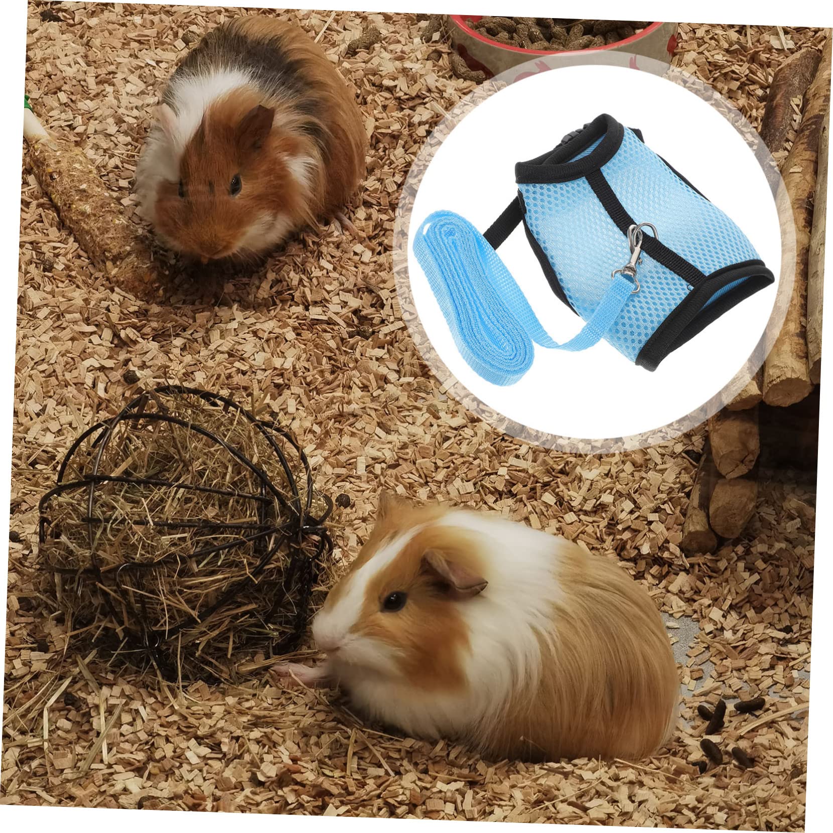 BESPORTBLE 5ensembles Laisse pour Hamster Et Animal De Harnais Et Traction Ropes Veste Confortable Et Design Unique