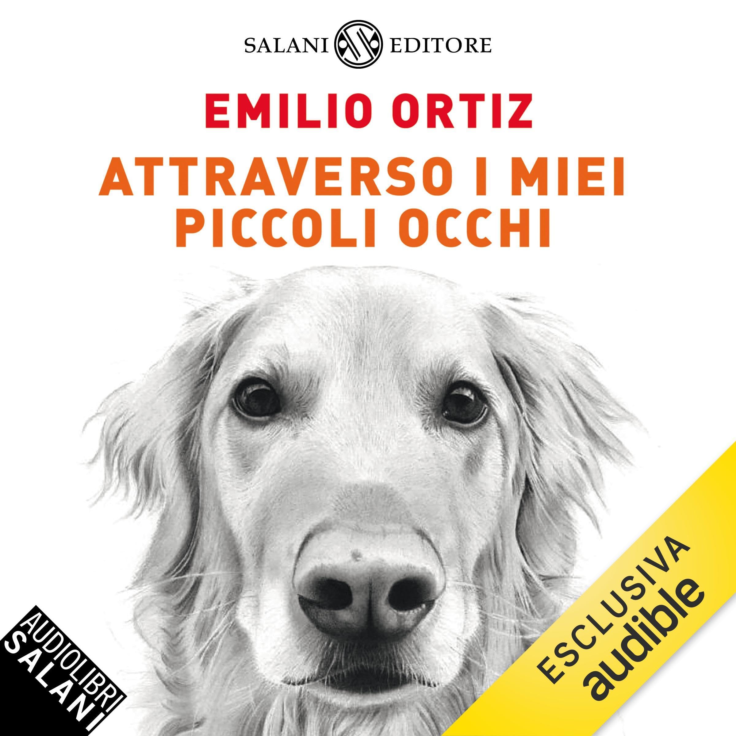 Attraverso i miei piccoli occhi