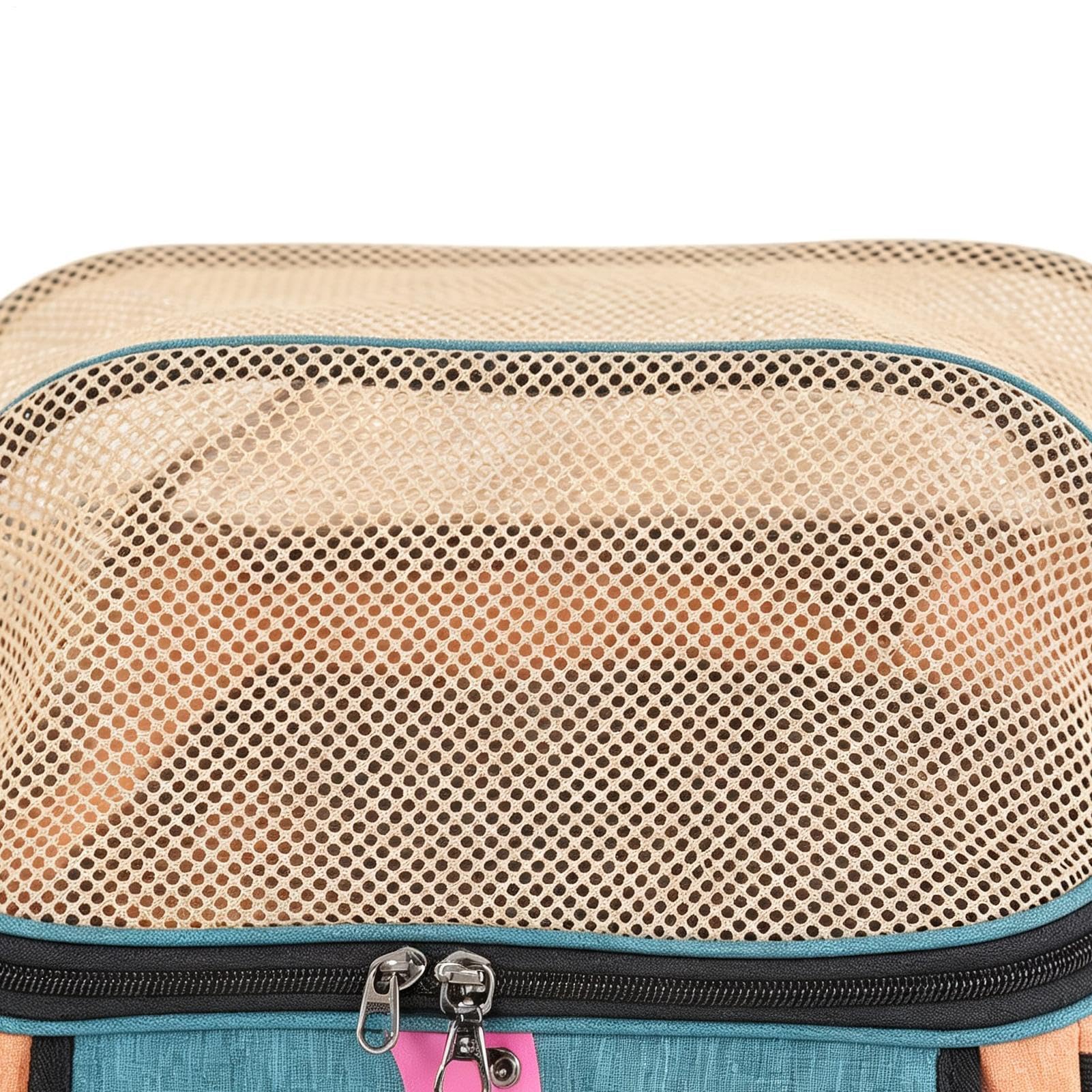 Portabici per cani, comodo, con ampia apertura, pieghevole, sicuro