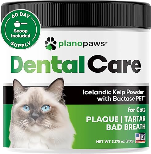 Polvo de cuidado dental para gatos, más fácil que la pasta de dientes, alternativa a las golosinas dentales para la eliminación de placa, polvo de