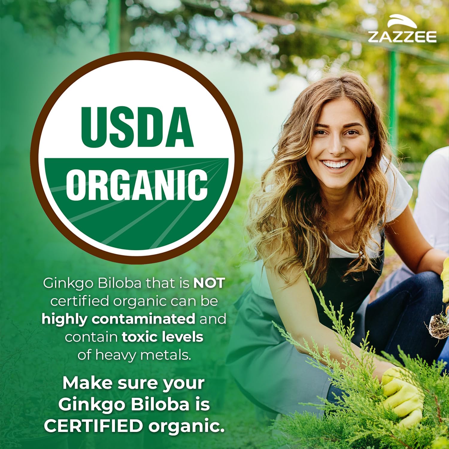 Zazzee USDA Organic Ginkgo Biloba 20:1 Extract, 120 Vegan Capsules — Amazon image 3