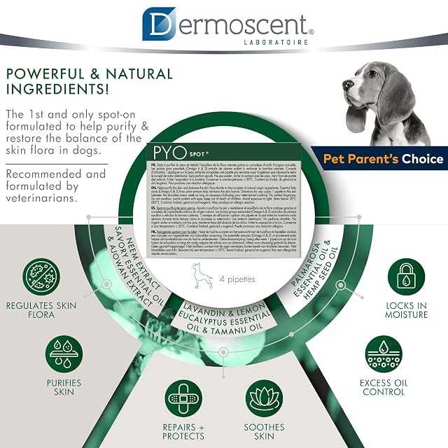 Foto 5 de 8 de Dermoscent PYO Spot Pipetas Purificantes para Perros 10-20 kg 4 x 1,2 ml
