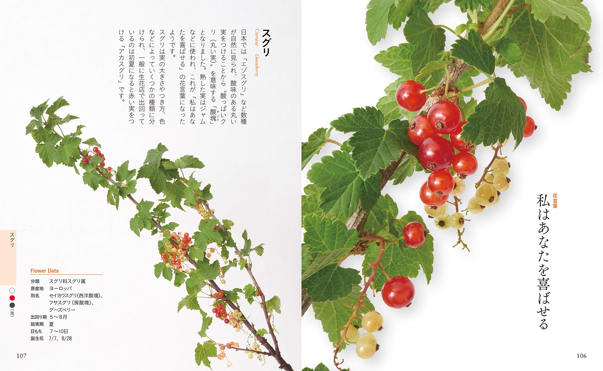 ちいさな花言葉 花図鑑 宇田川 佳子 本 通販 Amazon