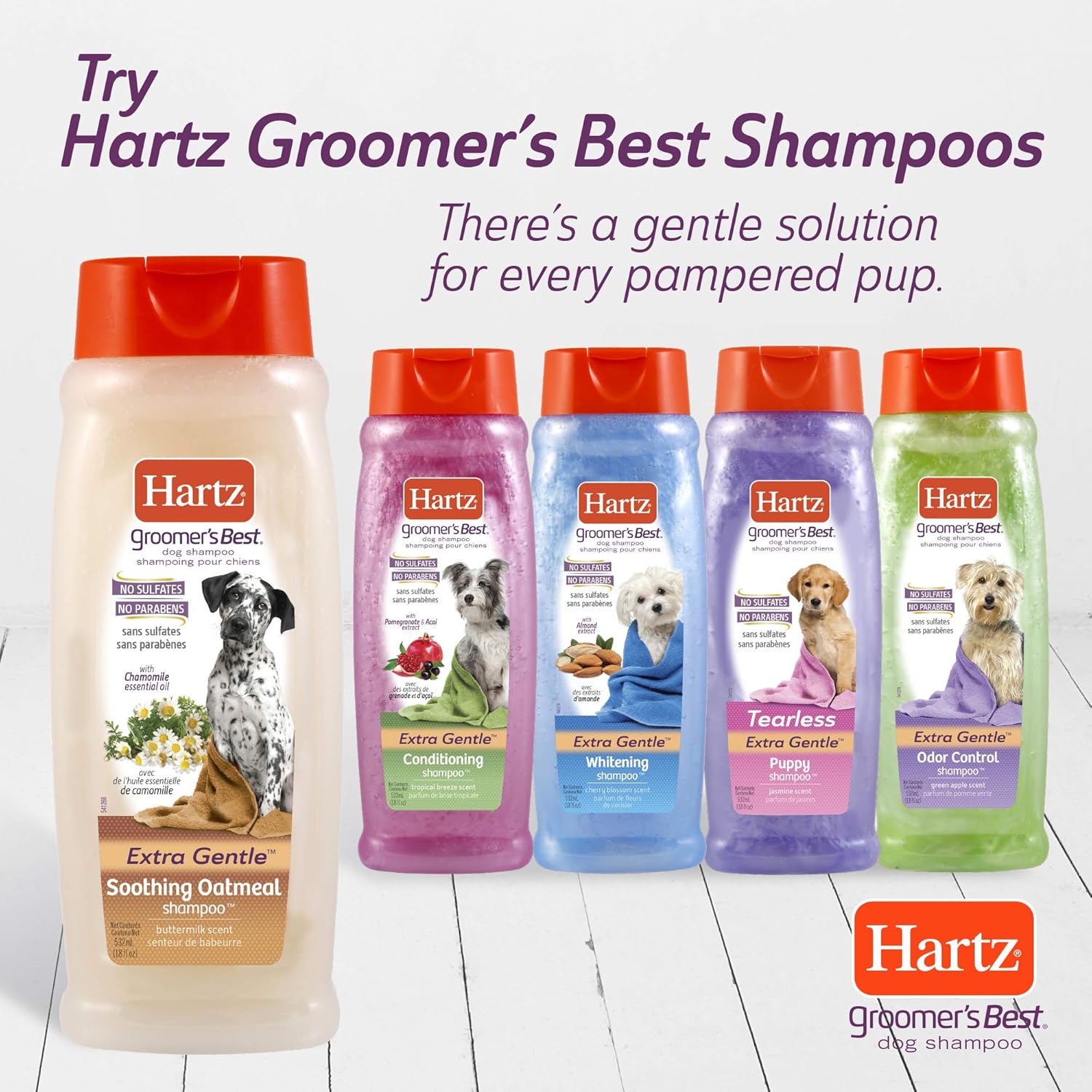Hair Shampoos : Hartz Groomer's Best Whitening Dog Shampoo, 18 Ounce Bottle