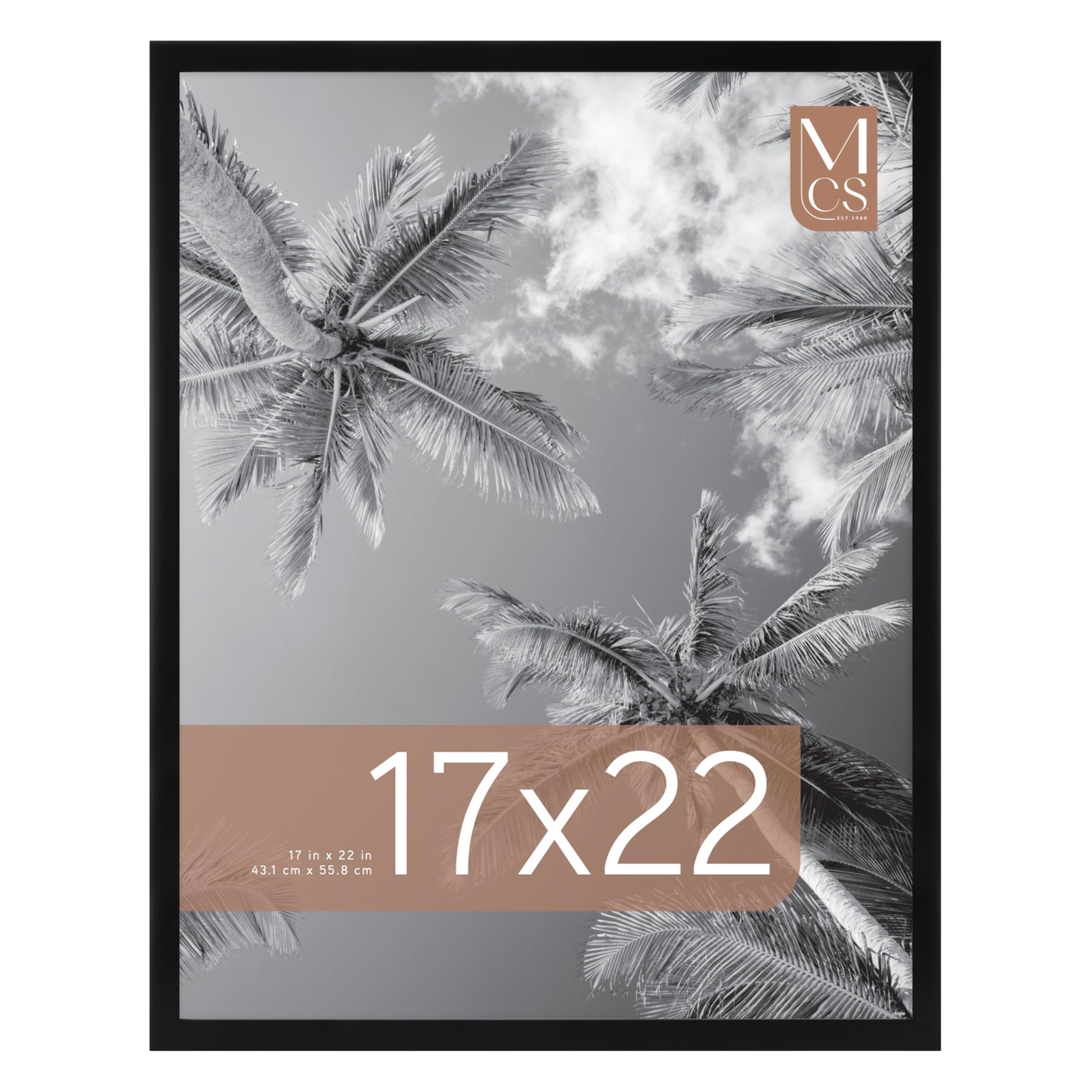 MCS Foundation 17 x 22 Poster Frame Traditional Black, Vertical & Horizontal Wall Hanging Large Picture Frame for Photos, Posters & Art Prints (1-Pack)