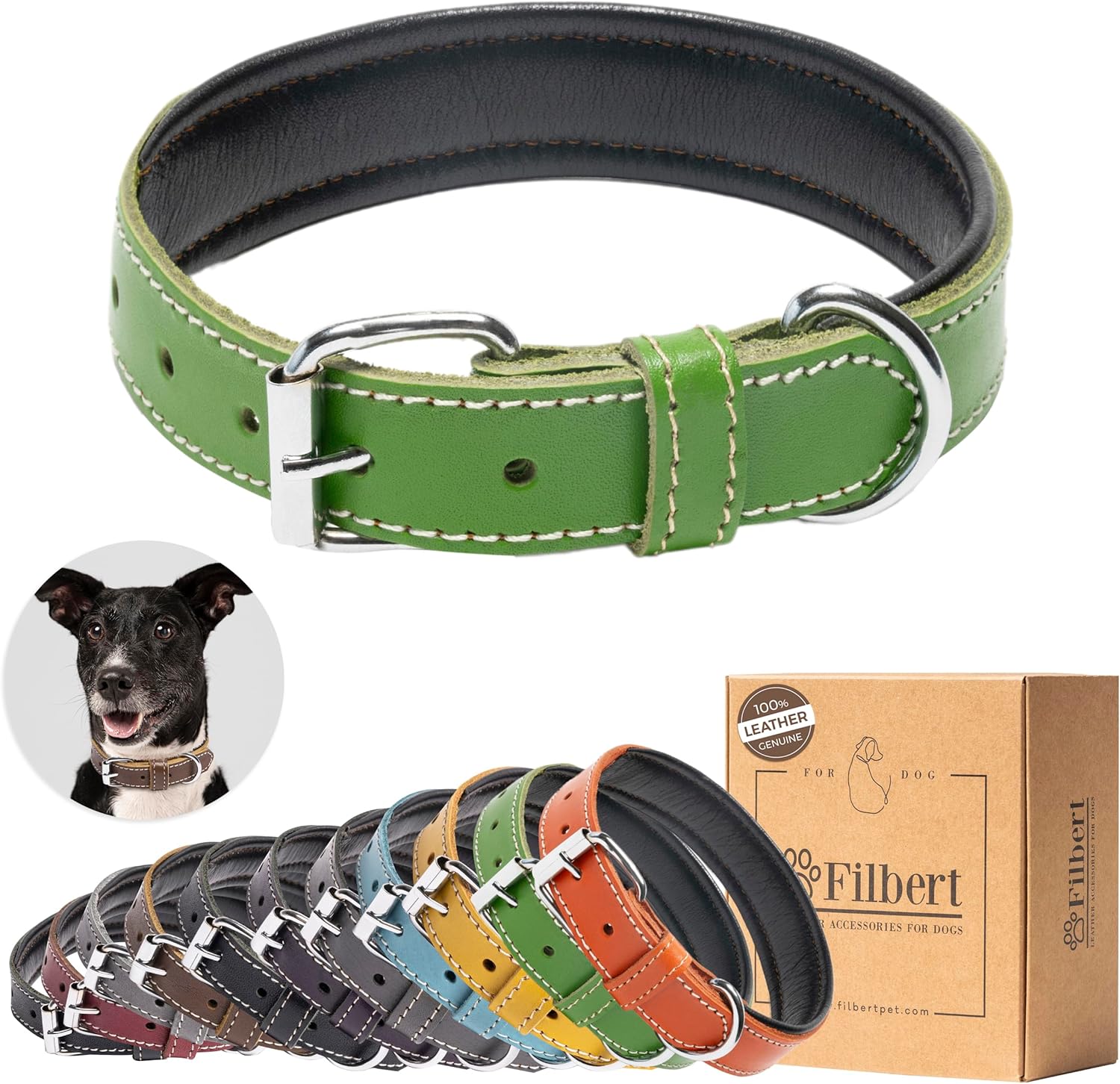 Filbert Leather Dog Collar, Genuine Leather Collar for Large Dogs, Premium Green