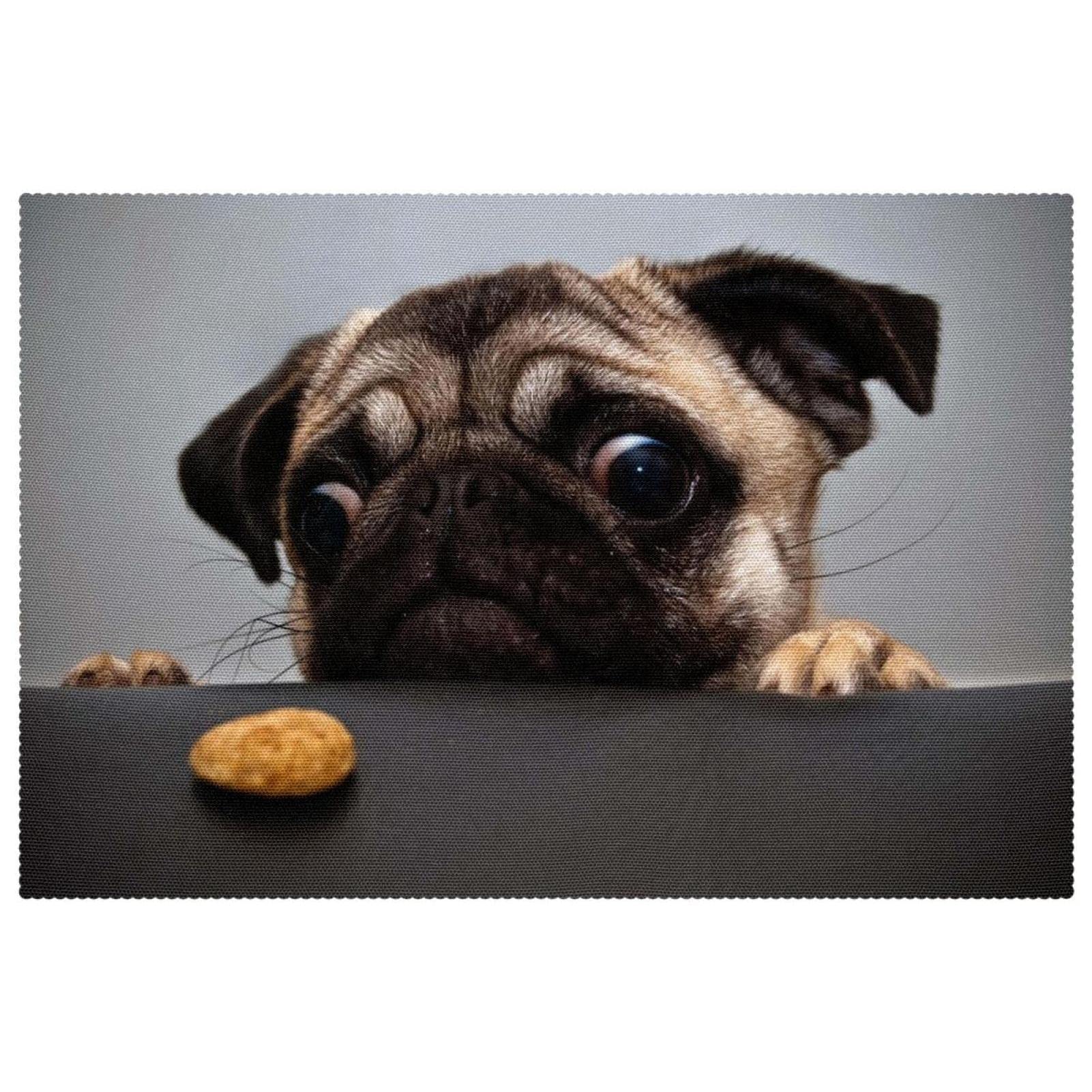 Sets de table chien mignon, une idée cadeau utile pour amateurs d'animaux