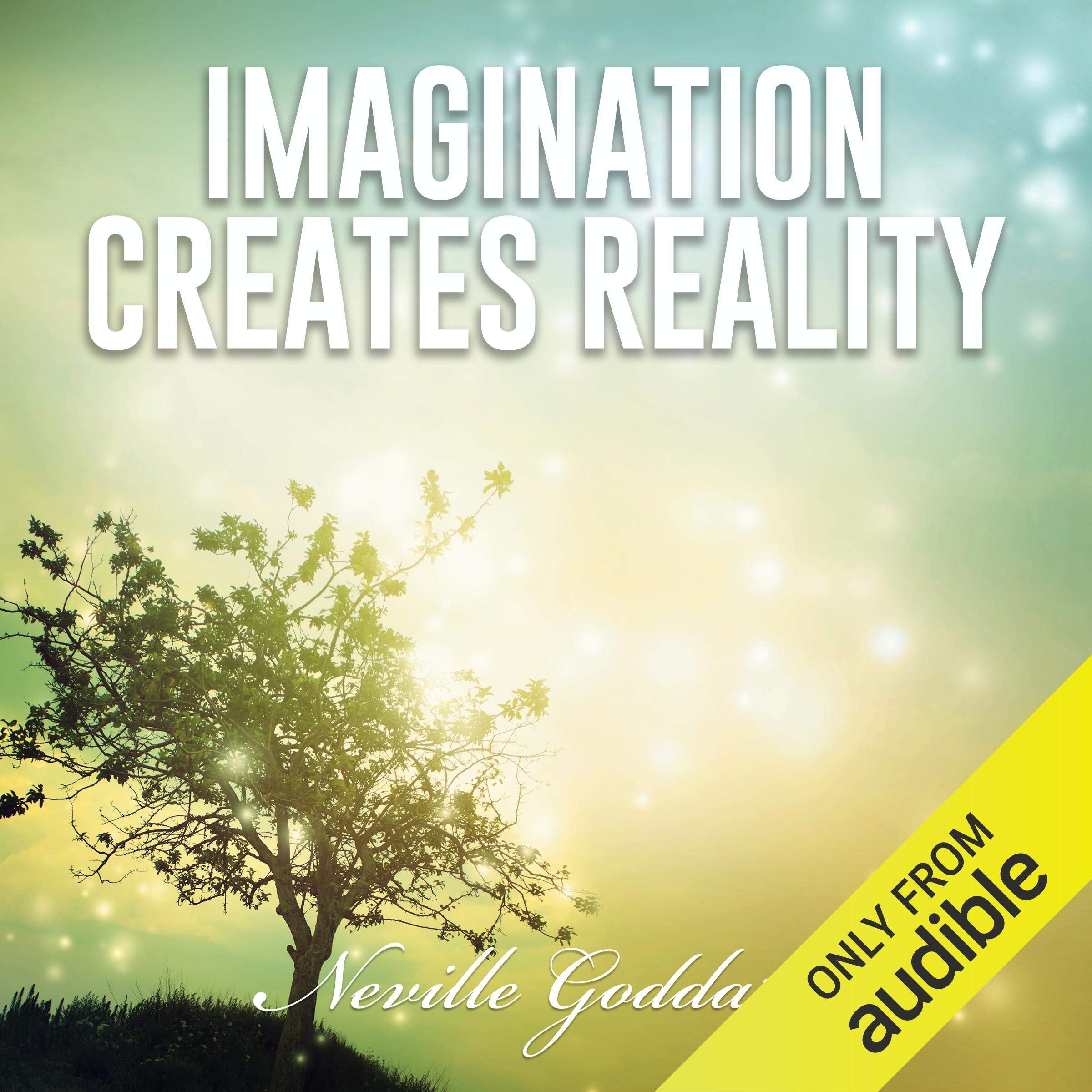 Cover art for Imagination Creates Reality