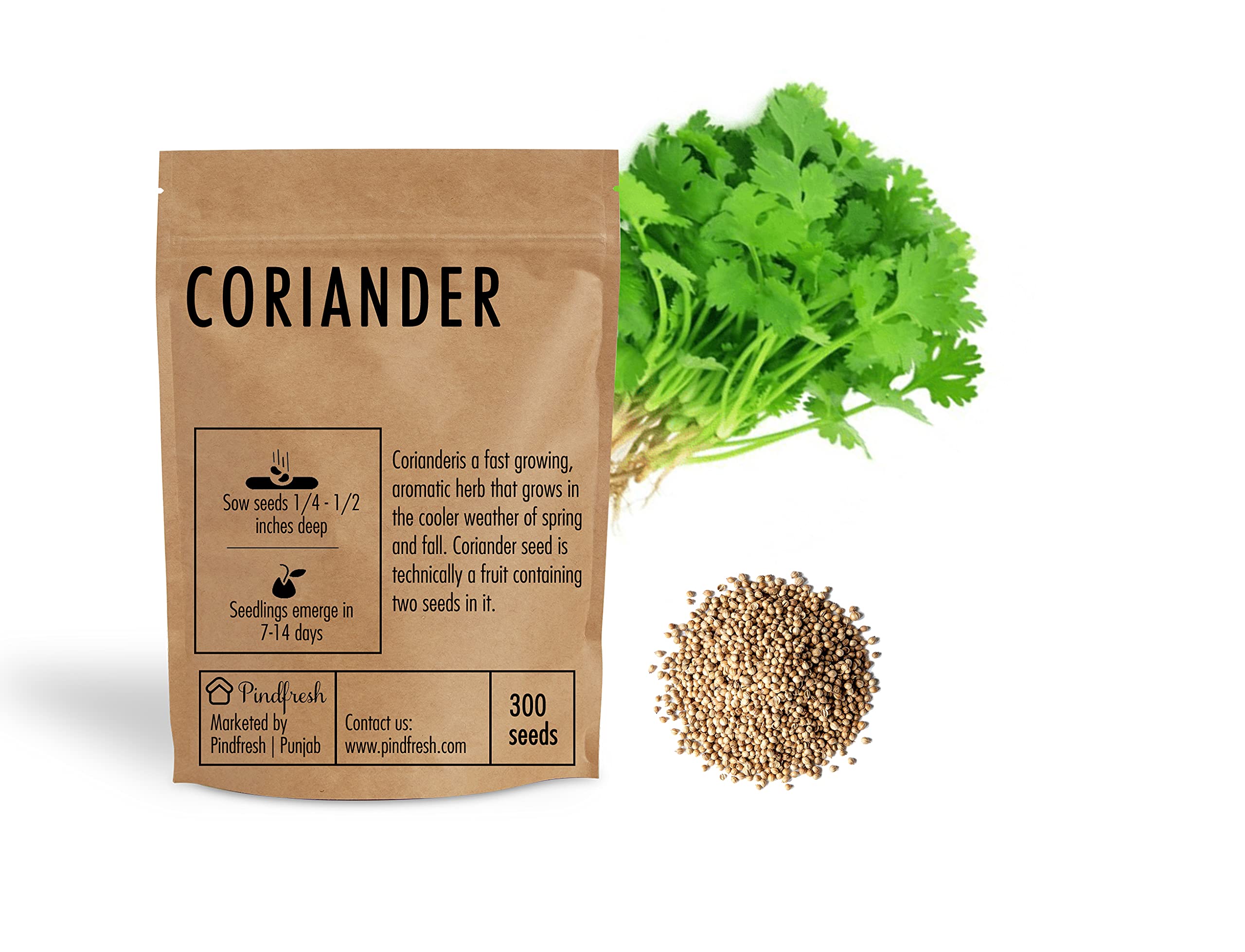 Pindfresh Seeds - Coriander SEEDS, Qty 1 packet contain 300 seeds - Hydroponics, Cocopeat & Soil Gardening (B09DCVYYCV) Amazon Price History, Amazon Price Tracker