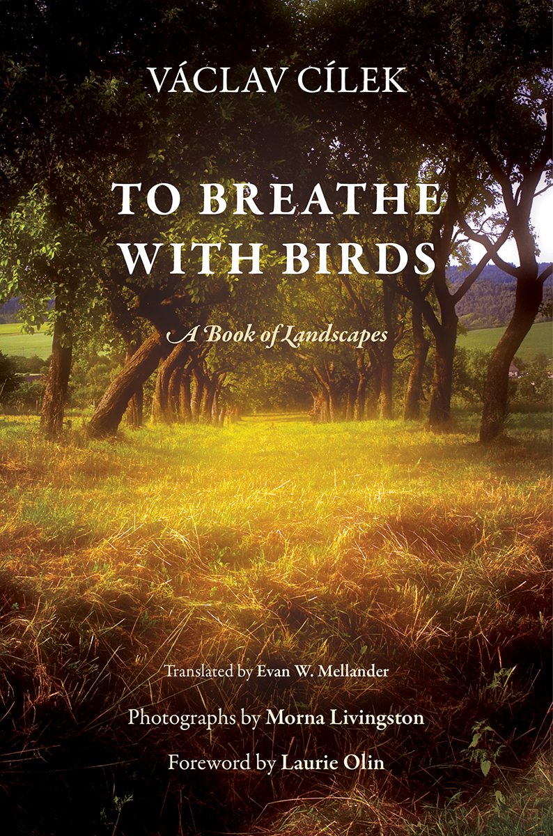 To Breathe with Birds Penn Studies in Landscape Architecture Book d'architecture paysagère anglaise