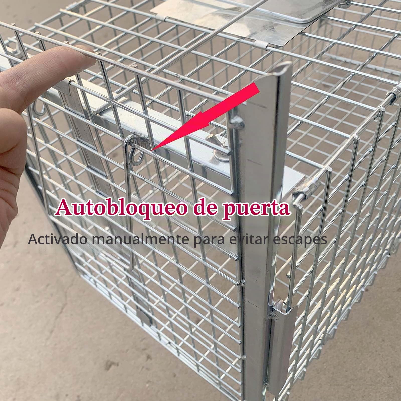 Humane Live Animal Trap, jaula infrarroja de 32 pulgadas con control remoto, diseño plegable para atrapar ardillas, mapaches, conejos y ardillas