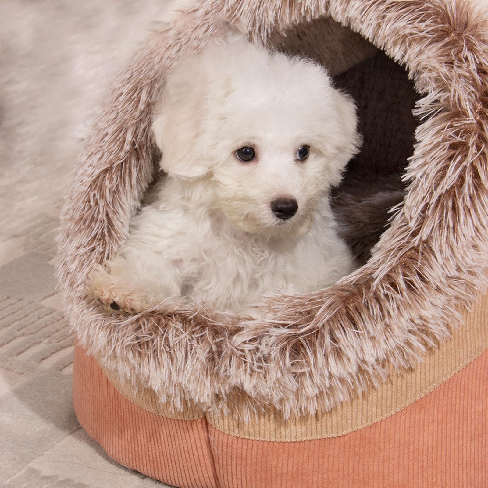 Grotte per gatti da interni, cuccia calda semi-chiusa in peluche per cani, forniture per animali domestici, cuccia per cani, gatti, coniglietti, animali domestici | forniture per animali domestici, cuccia per cani, gatti, coniglietti, animali domestici