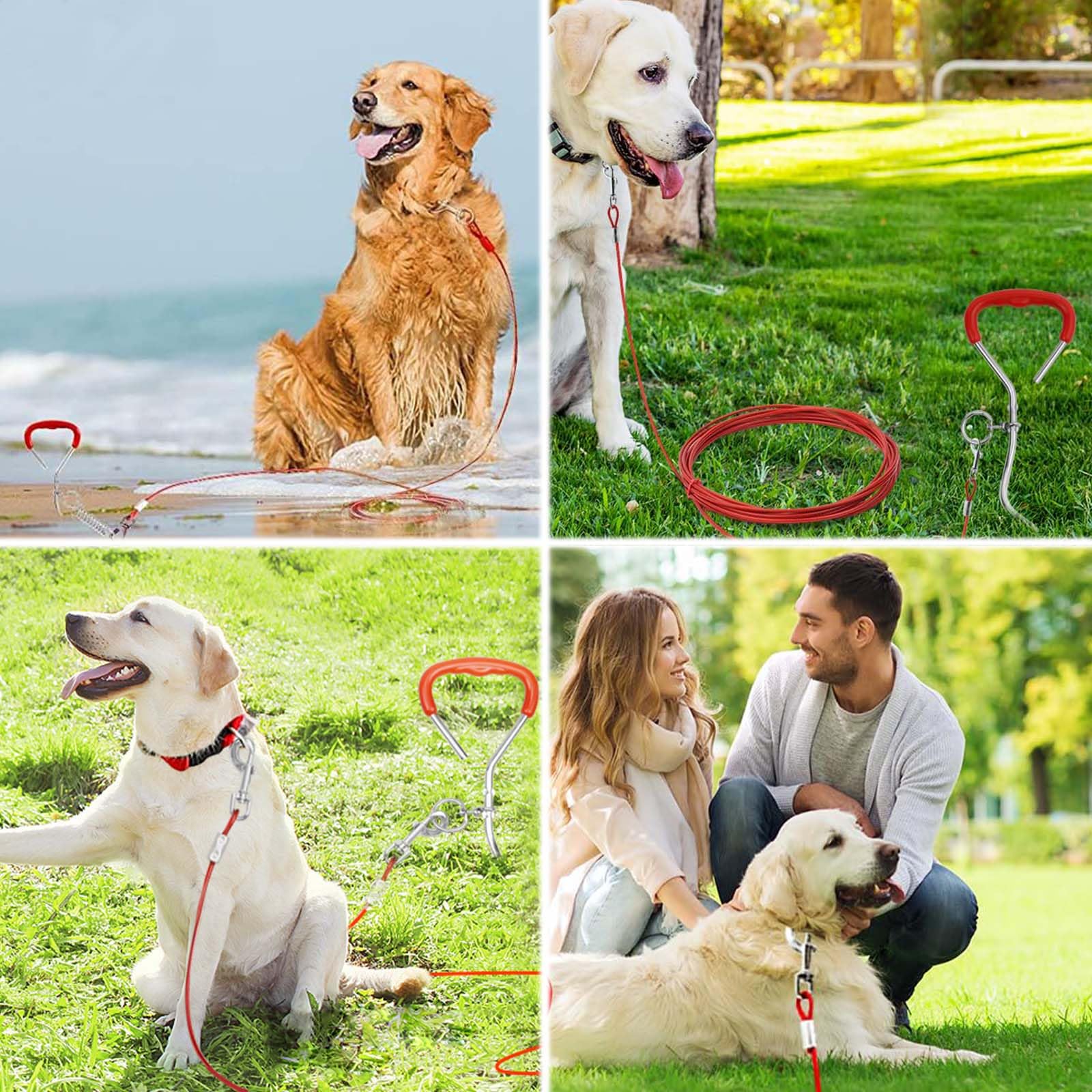 9 mm*40 cm,Ancrage au sol pour chiens, Piquet d'amarrage pour chiens de camping,Ancrage au sol pour chiens de taille moyenne, avec laisse de 5M, ancre de camping, pelouse, ancre pour chien d'extérieur
