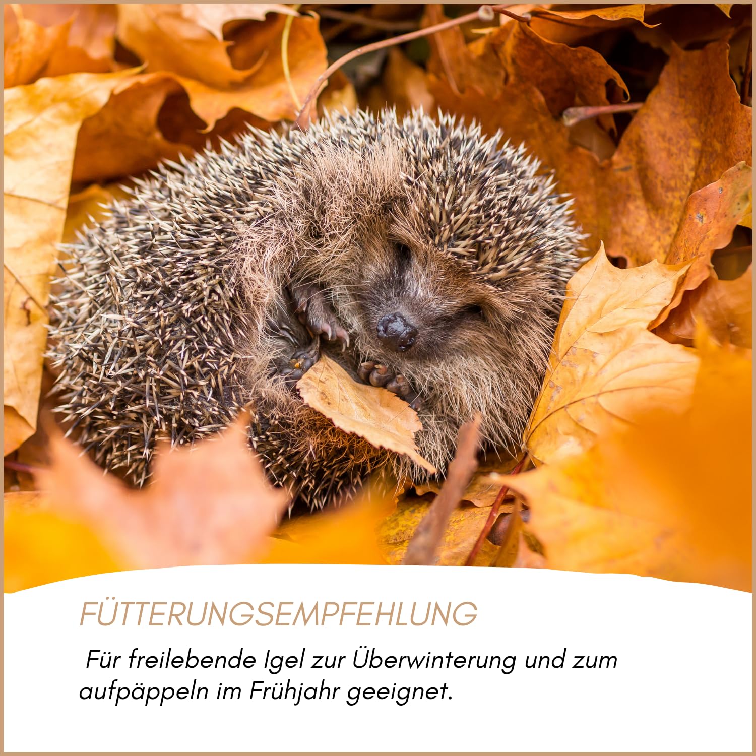 Supravit Igelfutter mit Insekten 5 kg - Speziell auf Igel abgestimmt mit Insekten, Mehlwürmer, Früchten & Gemüse - Hochwertiges Futter für Igel zum Überwintern