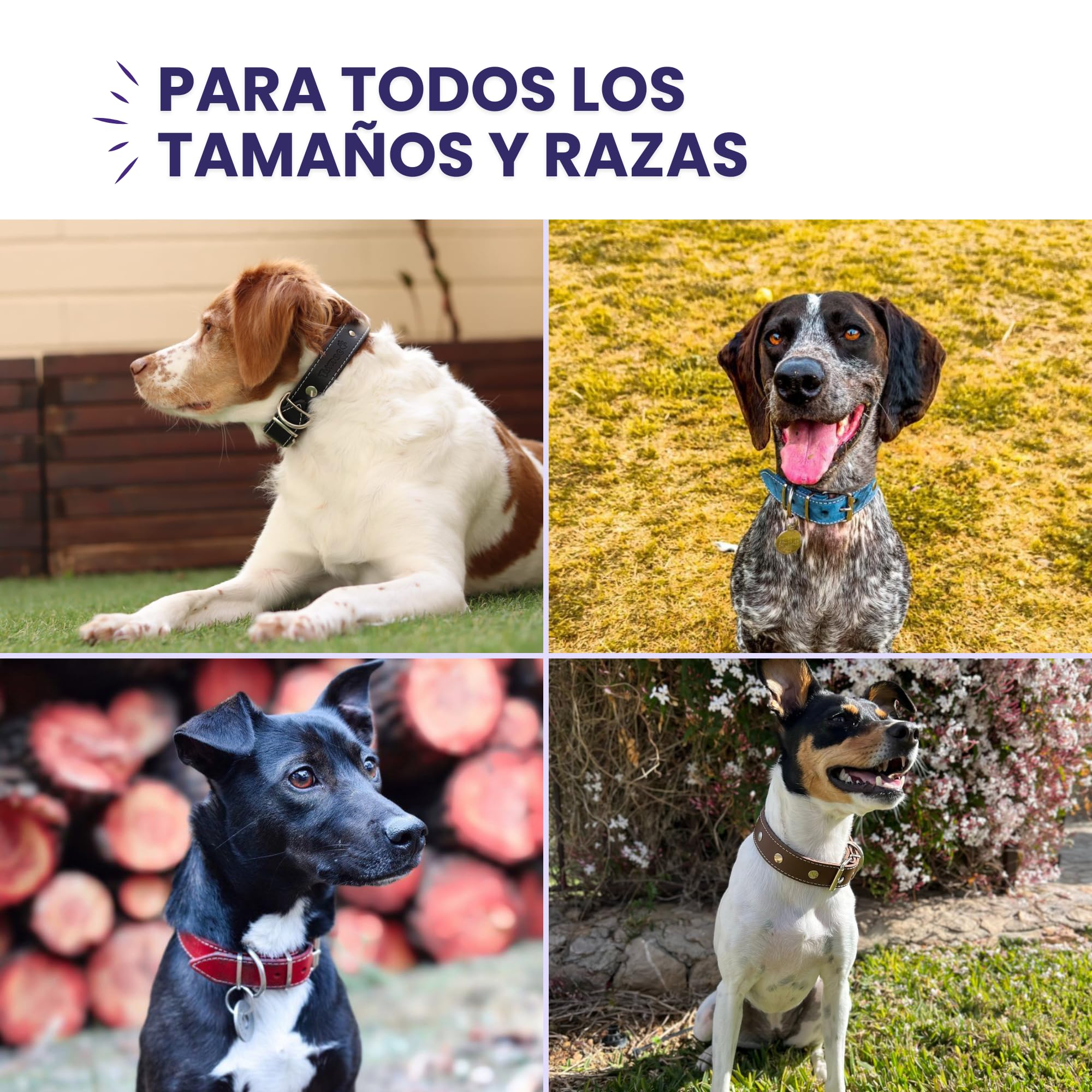 Collar para Perros con Funda para Collar Antiparasitario Perros, Hecho a Mano con Cuero de Primera Calidad Que Protege el Collar Antipulgas Perro y Prolonga su Duración