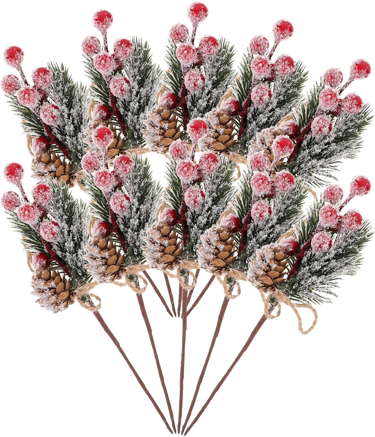 エバーフレッシュ 8号 S-shaped tree form 133cm 観葉植物