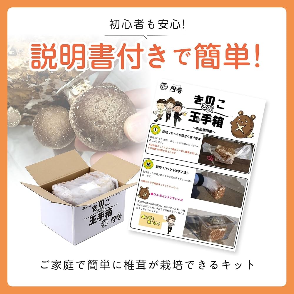 最新きのこ栽培技術 改訂版/特産情報（単行本） 最新きのこ栽培技術 新品本・書籍 | ブックオフ公式オンラインストア