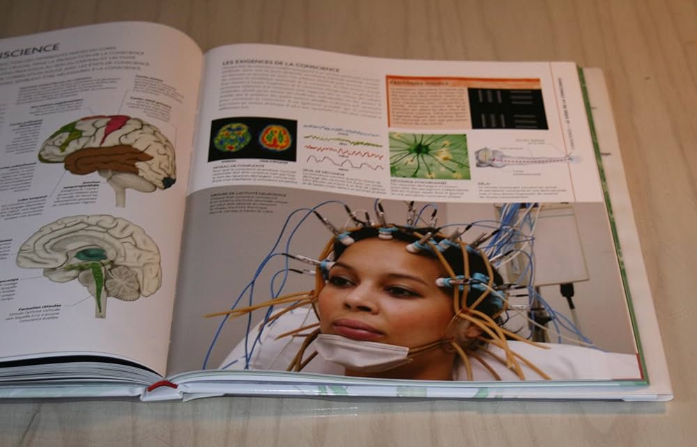 Le grand Larousse ラルース Le grand Larousse illustré : Larousse: Amazon.pl: Książki