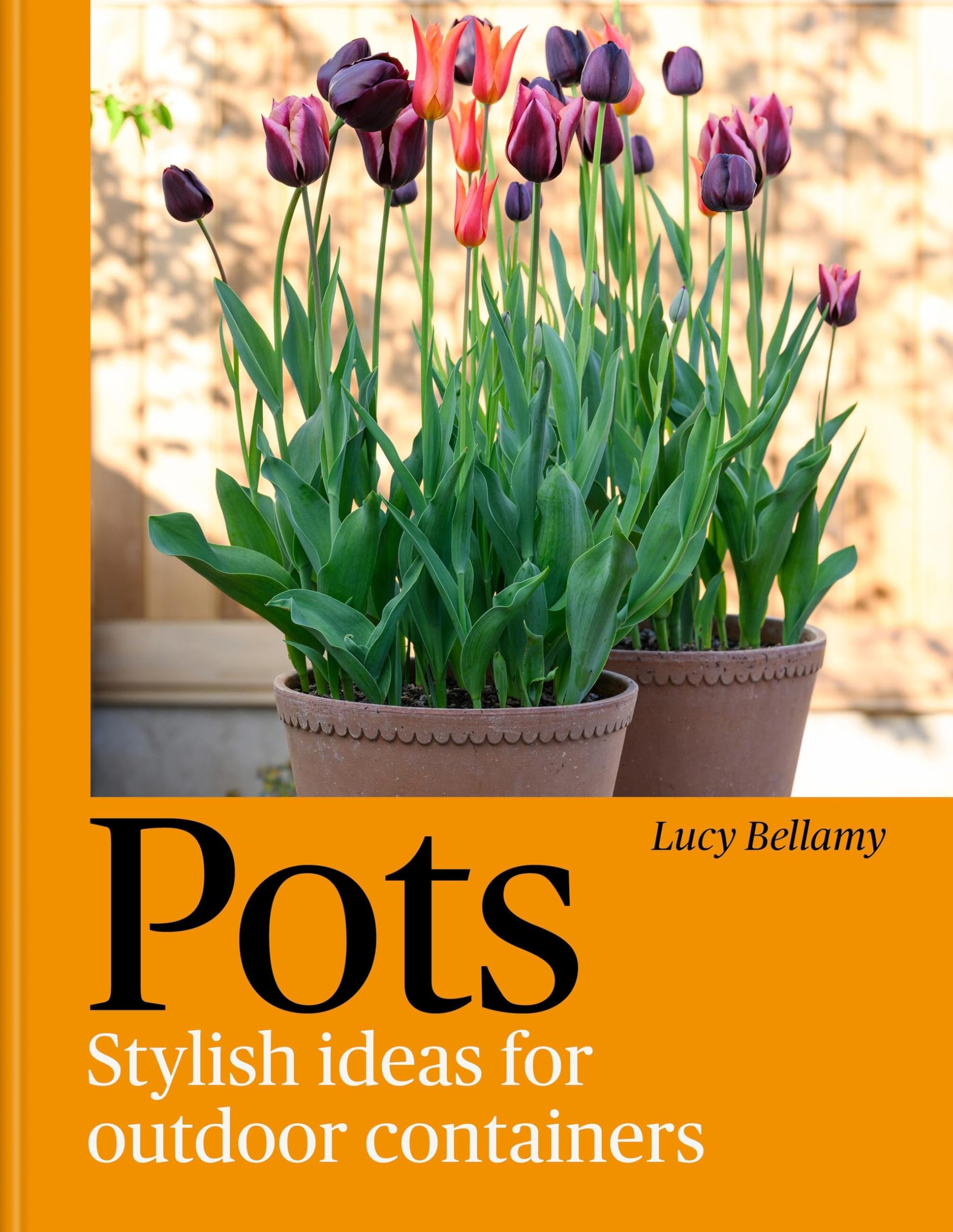 Pots: Stylish Ideas for Outdoor Containers