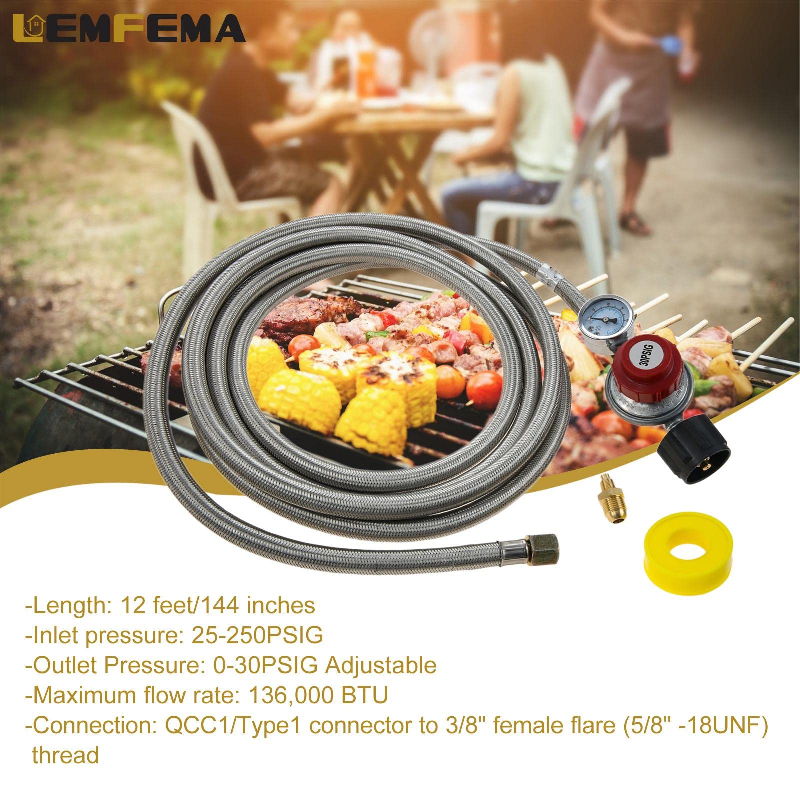 Snapklik.com : 12FT 0-30 PSI Adjustable High Pressure Propane Regulator