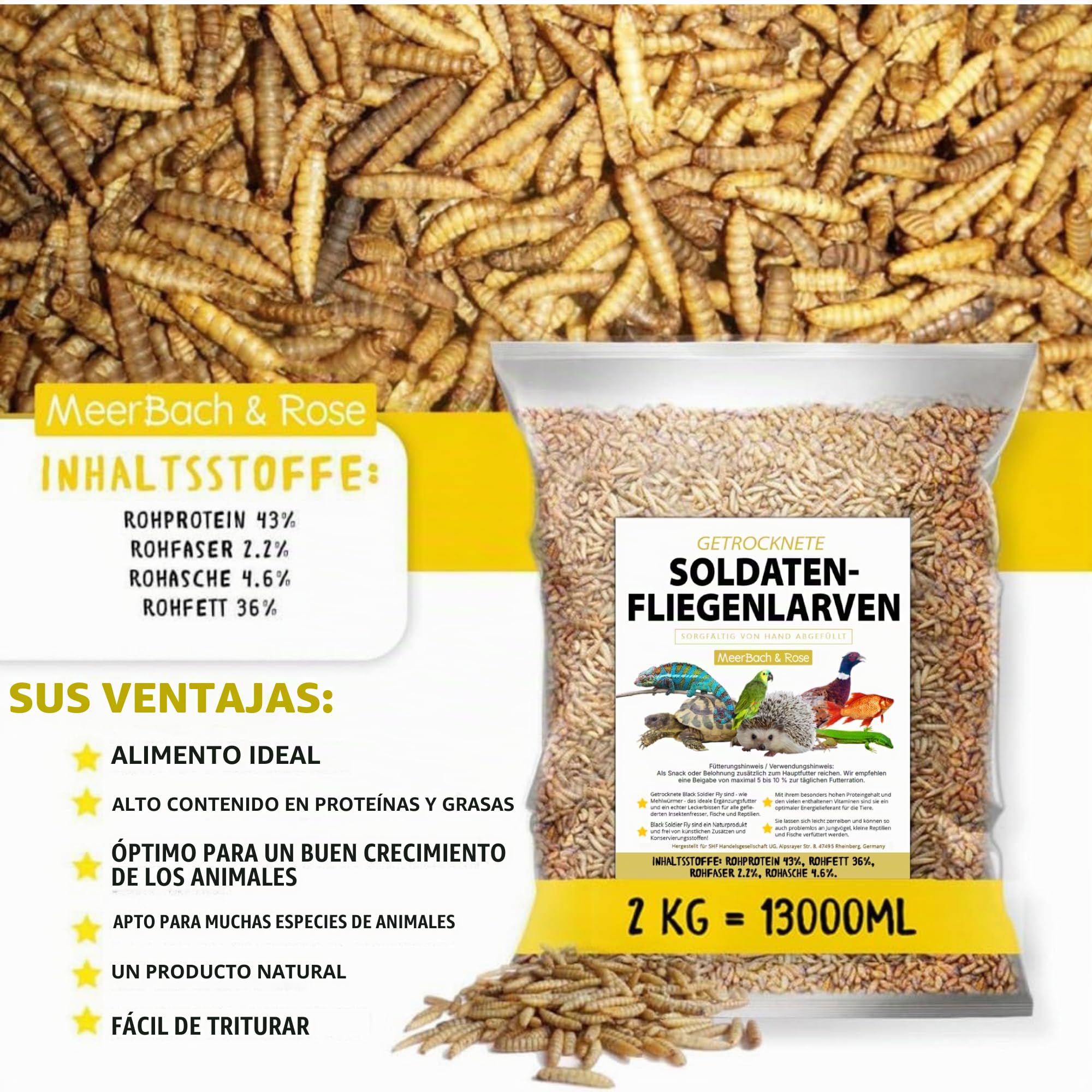 Larvas de mosca de soldado secas 2 kg (equivalente a 13 litros) Alimento para pájaros, erizos y peces, aperitivo rico en proteínas