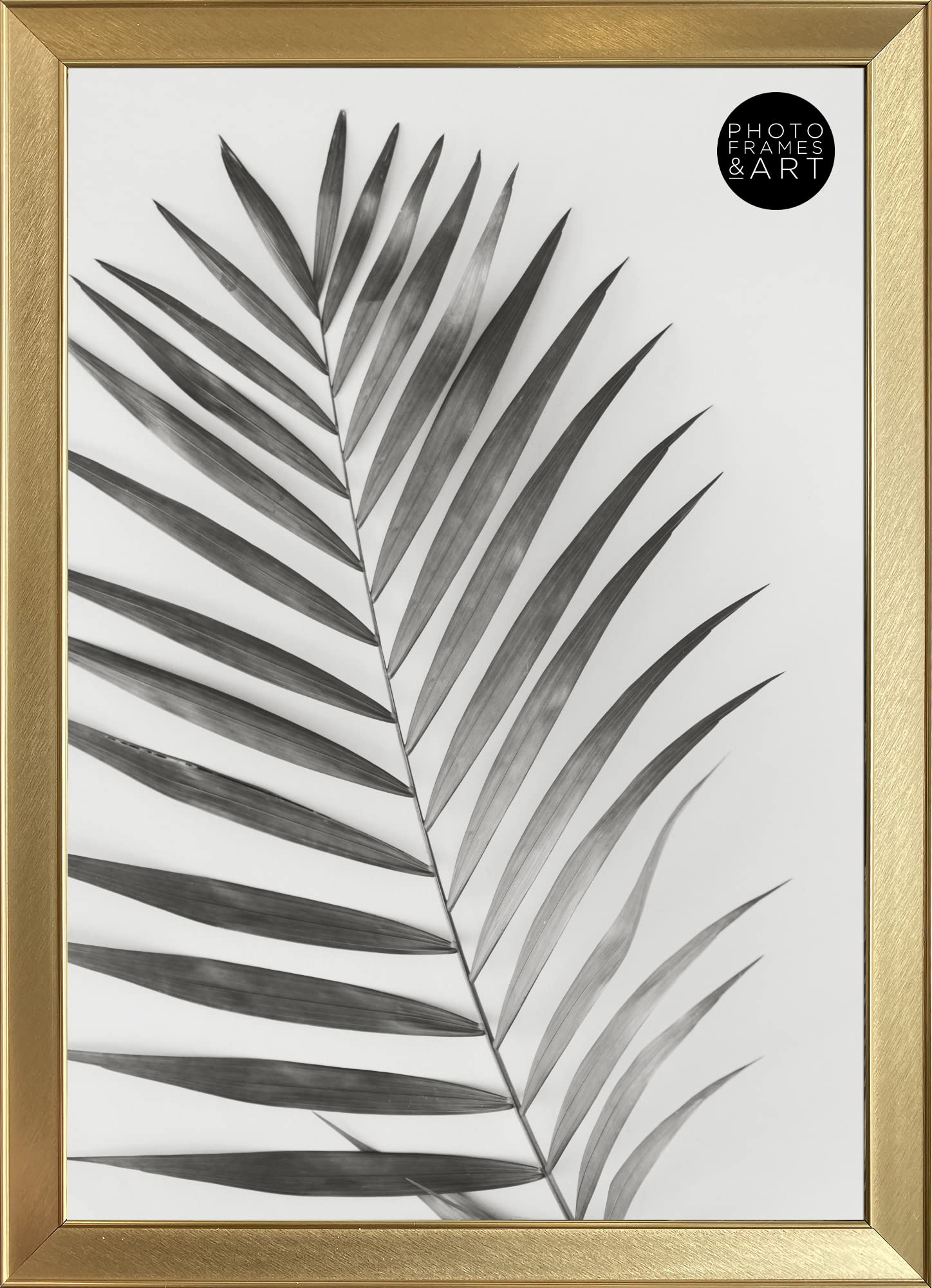 Pf+A Gold A3 Photo Picture Frame - Glass Window - Richmond Photo Poster Frame For A3 (29.7X42cm)