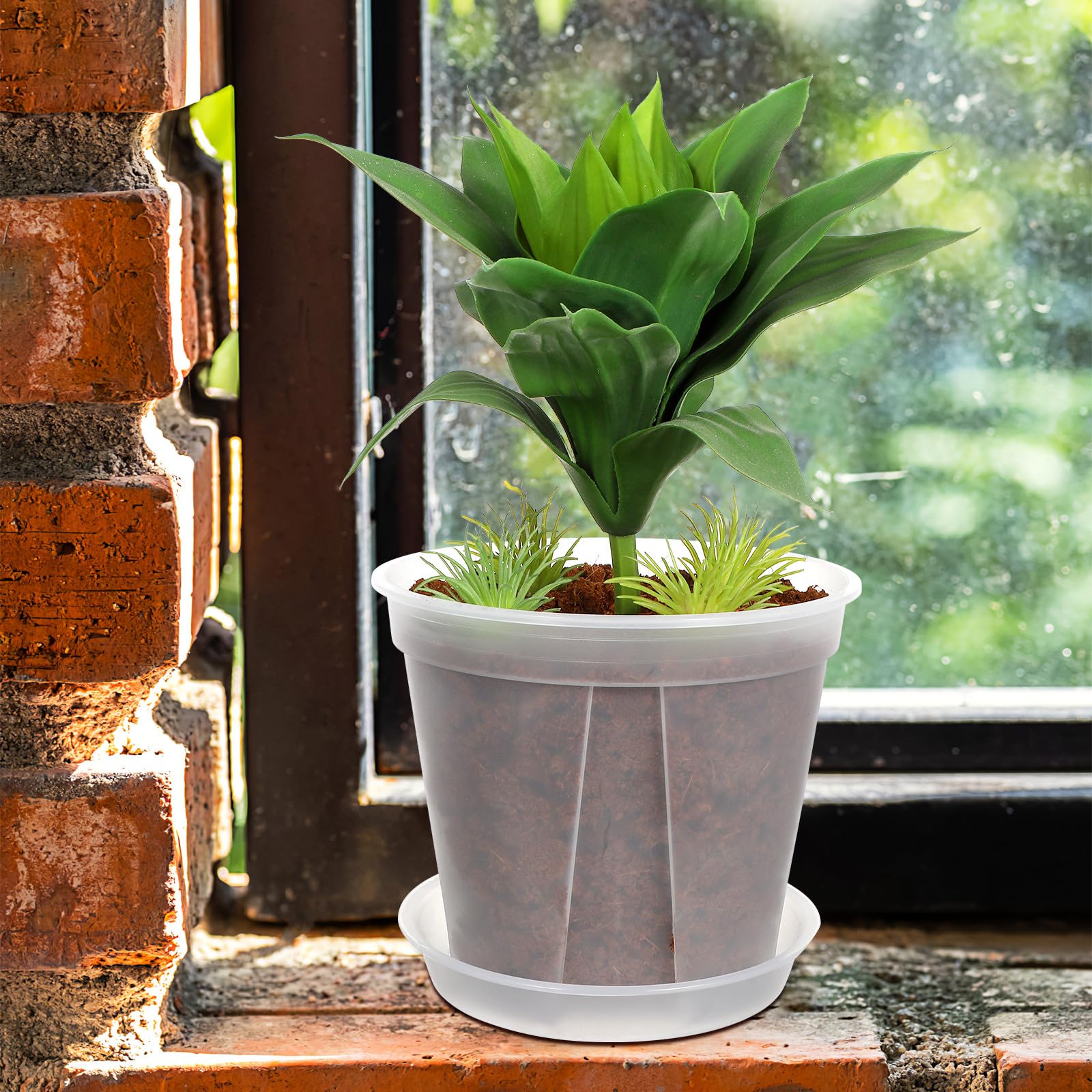 Beavorty Set 4 Vasi Trasparenti in Plastica Sottovaso, Contenitori per Piante da Interno ed Esterno, Fioriere per Fragole e Fiori, Vasi da Giardino per Uso Domestico e Ufficio