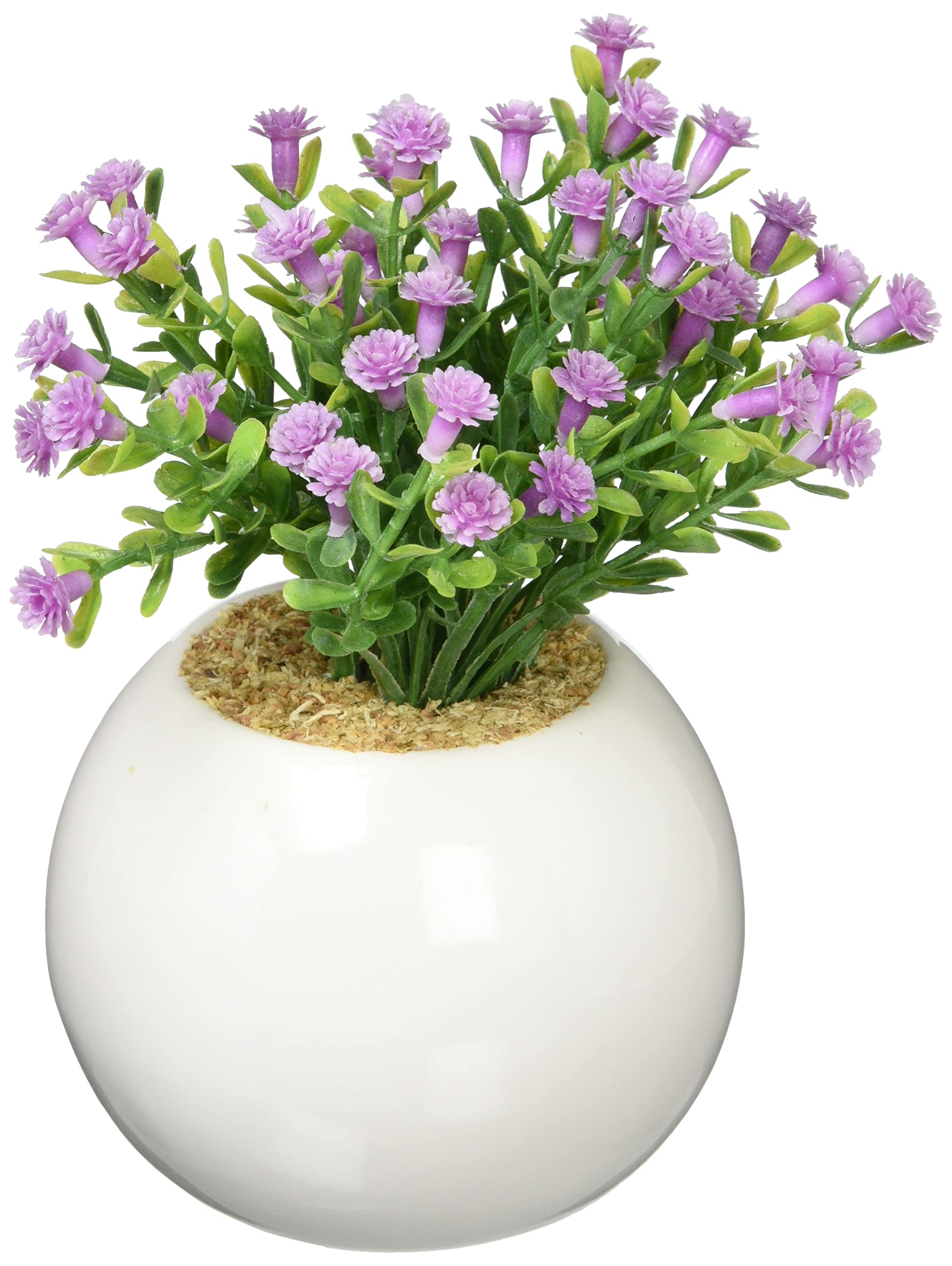 小物 d.a.i Amazon.com: KI Japan 165545 Daisy PA Round Pot, L, Diameter