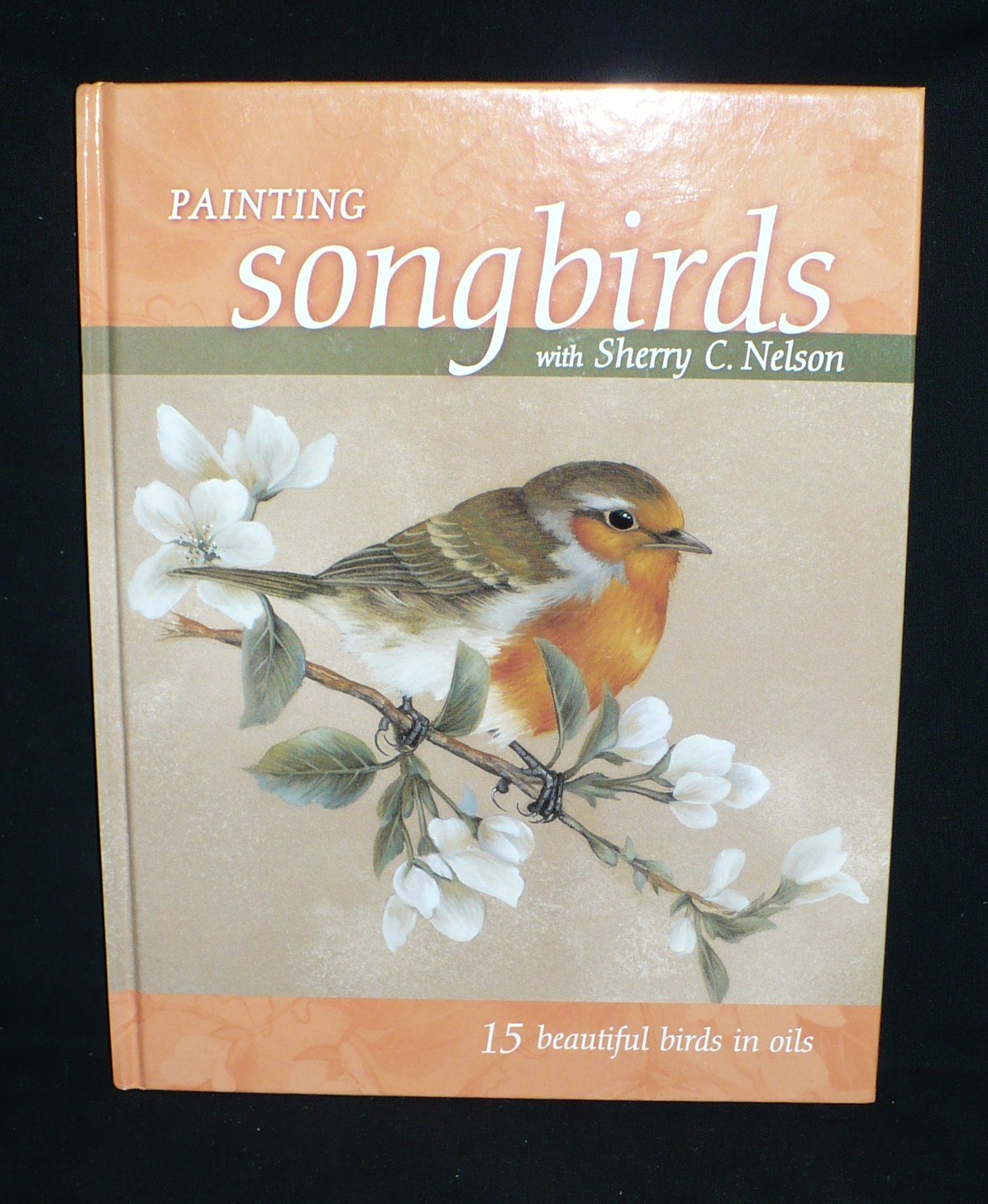 Painting Songbirds livre pour peindre pendant vos loisirs creatifs