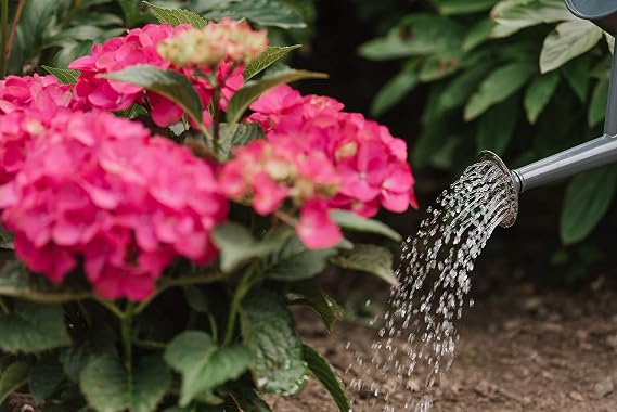 Westland Hydrangea Colourant, 500 g