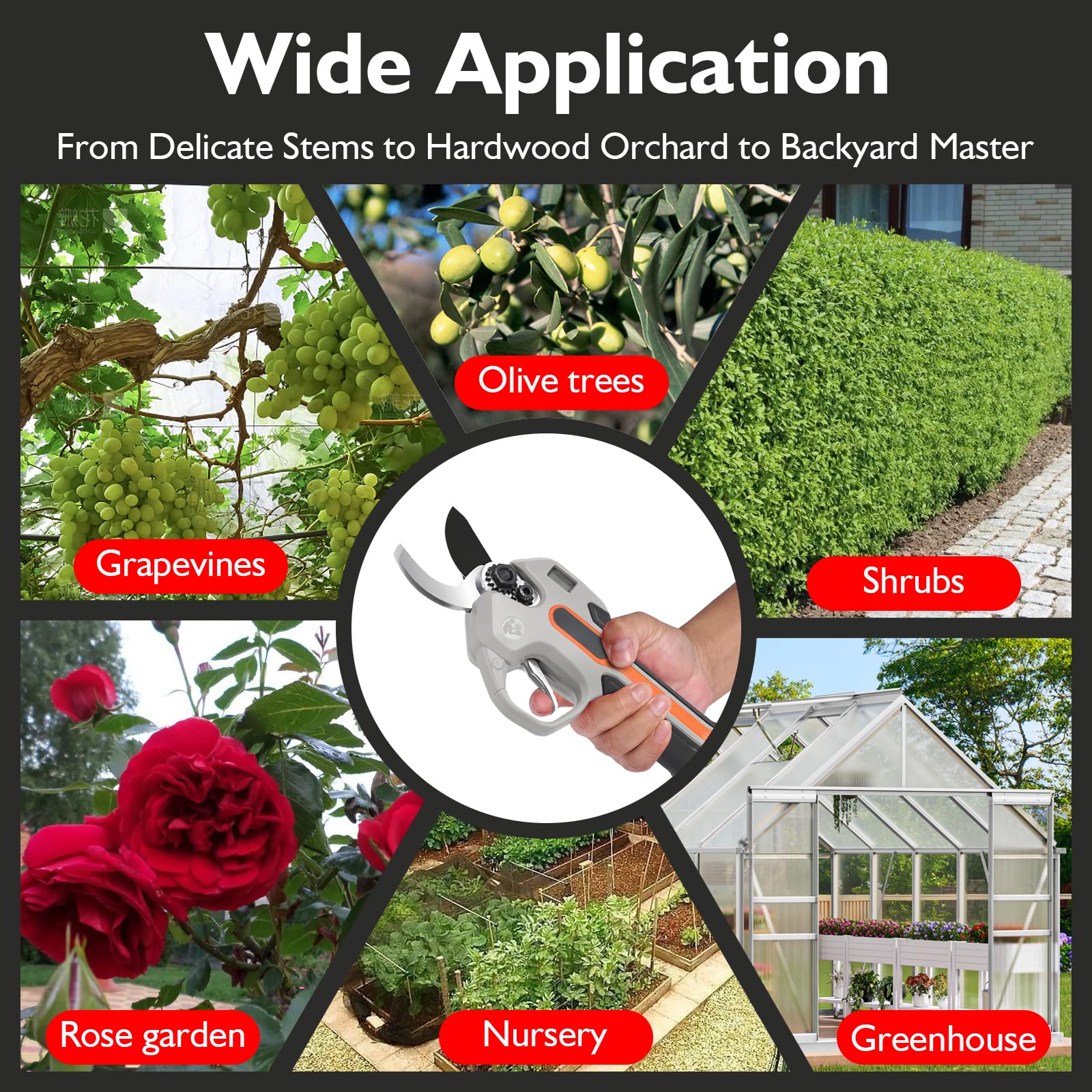 Coupe Branche Electrique (Kit Double Batterie) – Secateur Électrique Sans Fil, Secateur De Jardin Cisaille Avec Gants Et Sac À Outils – Pour Vignes Et Olivier Dans Les Vergers/Jardins