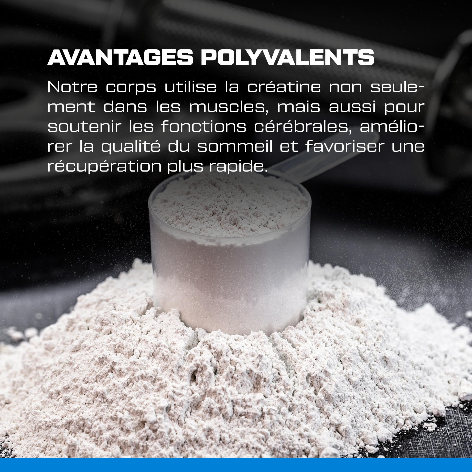 Scitec Nutrition Mega Creatine Monohydrate - Formule de marque Creapure | Pureté élevée - Créatine pour les performances lors d'efforts courts, intenses, répétés - 3 g par jour - 306 g, Non aromatisé