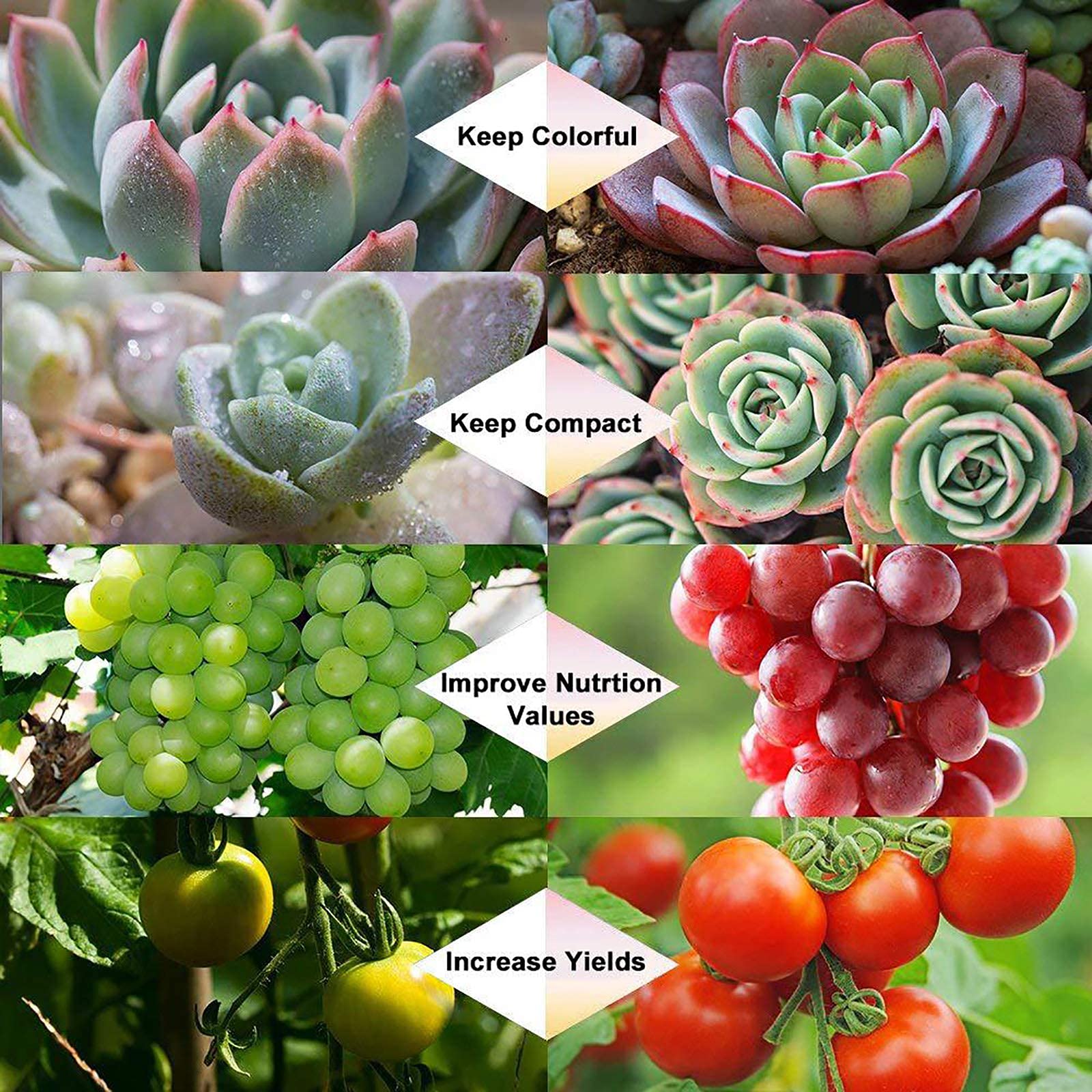 Lampes de culture d'intérieur, lumière de culture de plantes, lumière de croissance pour plantes d'intérieur, lumière de plantes à spectre complet pour semis avec minuterie, col de cygne réglable, 3