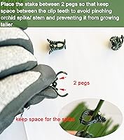 Vista 2 de Clips de Orquídea para Soporte de Plantas (100, Verde) para Plantas Trepadoras Pequeñas a Medianas, Plantas de Vid y Plantas de Un Solo Tallo