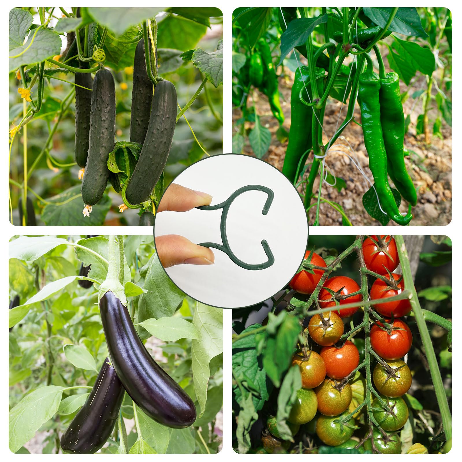 Clips De Fixation Pour Plantes - 200 Pièces (2 Tailles) En Plastique Vert, Pour Tomates, Plantes Grimpantes, Jardinage