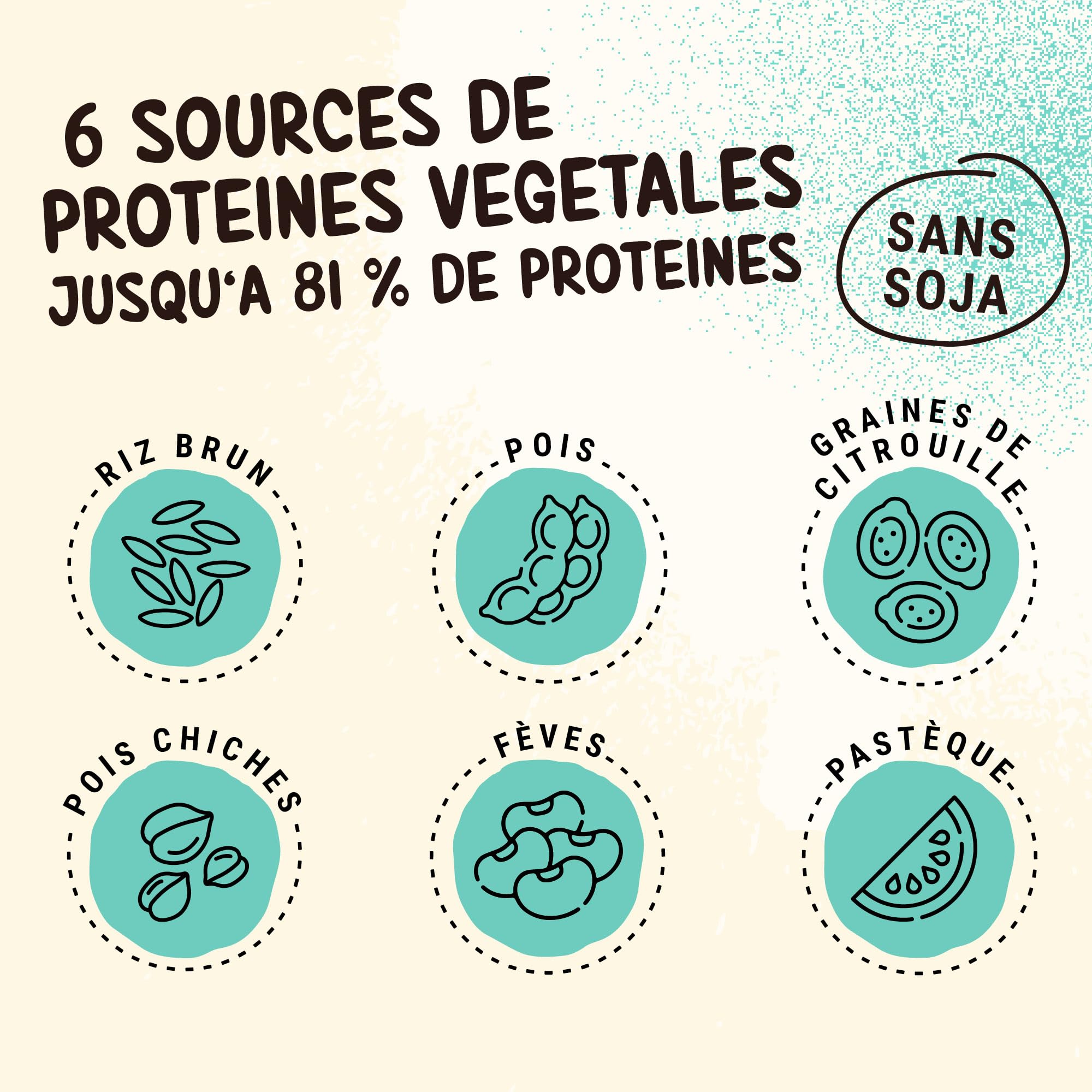 Powerstar PROTEINE VÉGÉTALE 500 g | Vegan protein powder sans soja | Poudre de protéines multicomposants enrichie de 10 superaliments | Fabrication en Allemagne | Musculaire | Vanille
