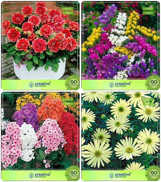 Creative Farmer Flower Seeds Garden Seeds For Planting Summer