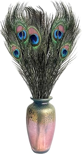 Miniatura 4 de 10 plumas de pavo real auténticas de origen ético de 10 a 12 pulgadas, sin olor para manualidades, decoración de atuendo festivo, disfraces de