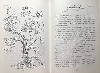 Aquatic Plants of China、中国水生植物図鑑 Aquatic Plants of China、中国水生植物図鑑 特集 水生植物