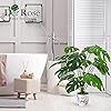 Product Photo 8
