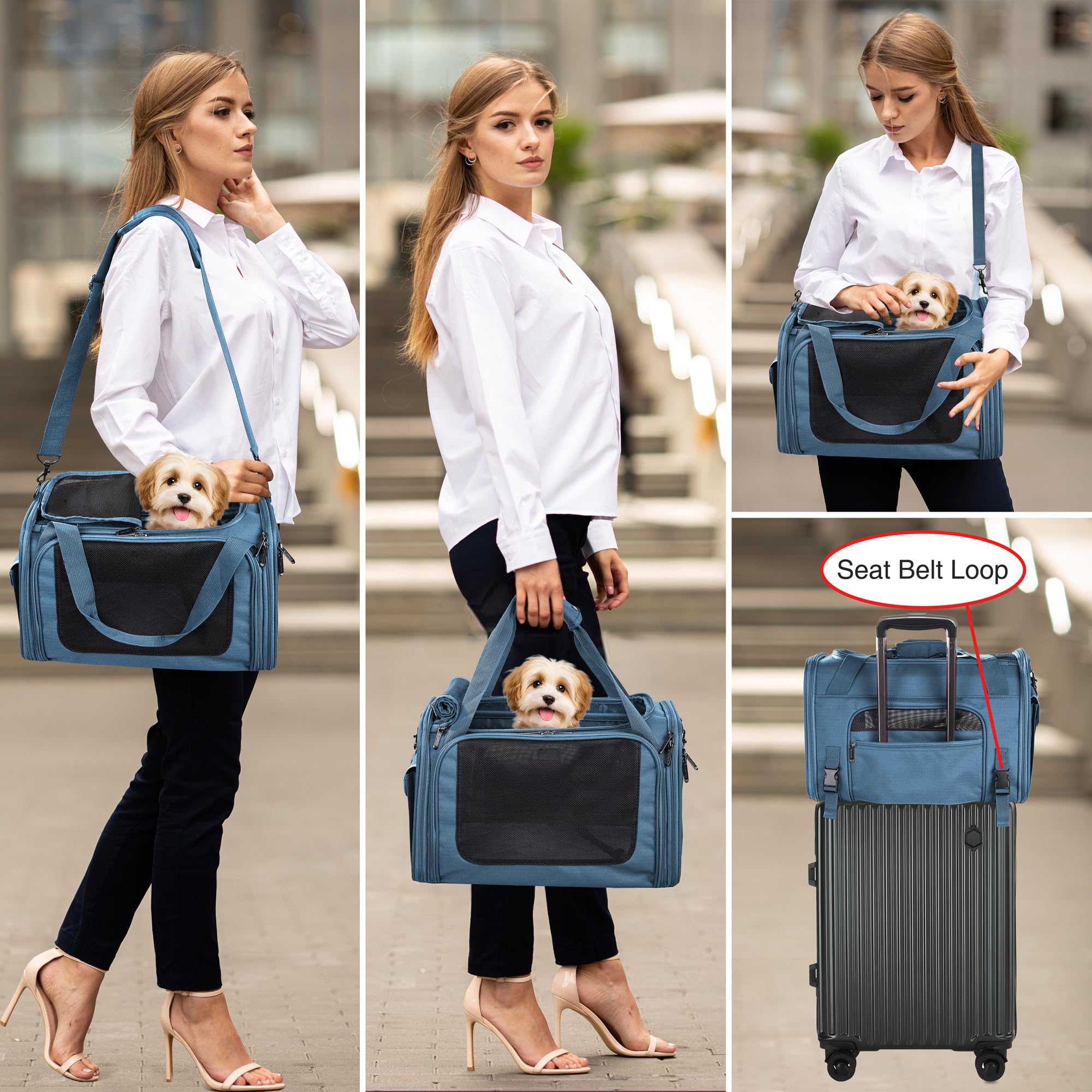 EliteField Deluxe Soft-Sided Pet Carrier (3 Year Warranty, Airline Approved), Travel Bag for Dogs, Cats & Small Pets, with Expandable Mat - image 3
