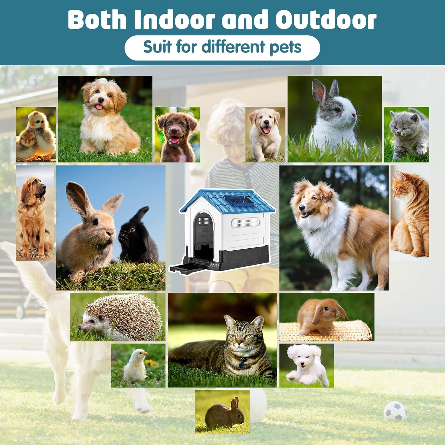 Lanco - Chenil pour Petits Chiens avec Toit Coulissant réglable. Utilisation intérieure et extérieure avec Ventilation. Matériau résistant. 68x55x66cm. Bleu et Blanc