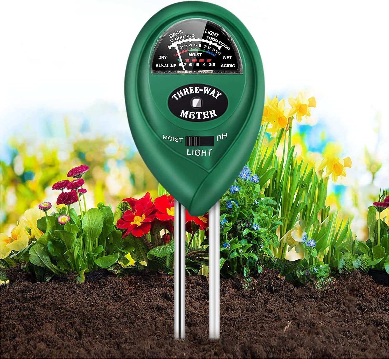 Pronto Seed Bonsai Tree Grow kit 100% 5 Varieties to Grow Your Own Kit from Eco Gifts Includes Made with 100% Materials