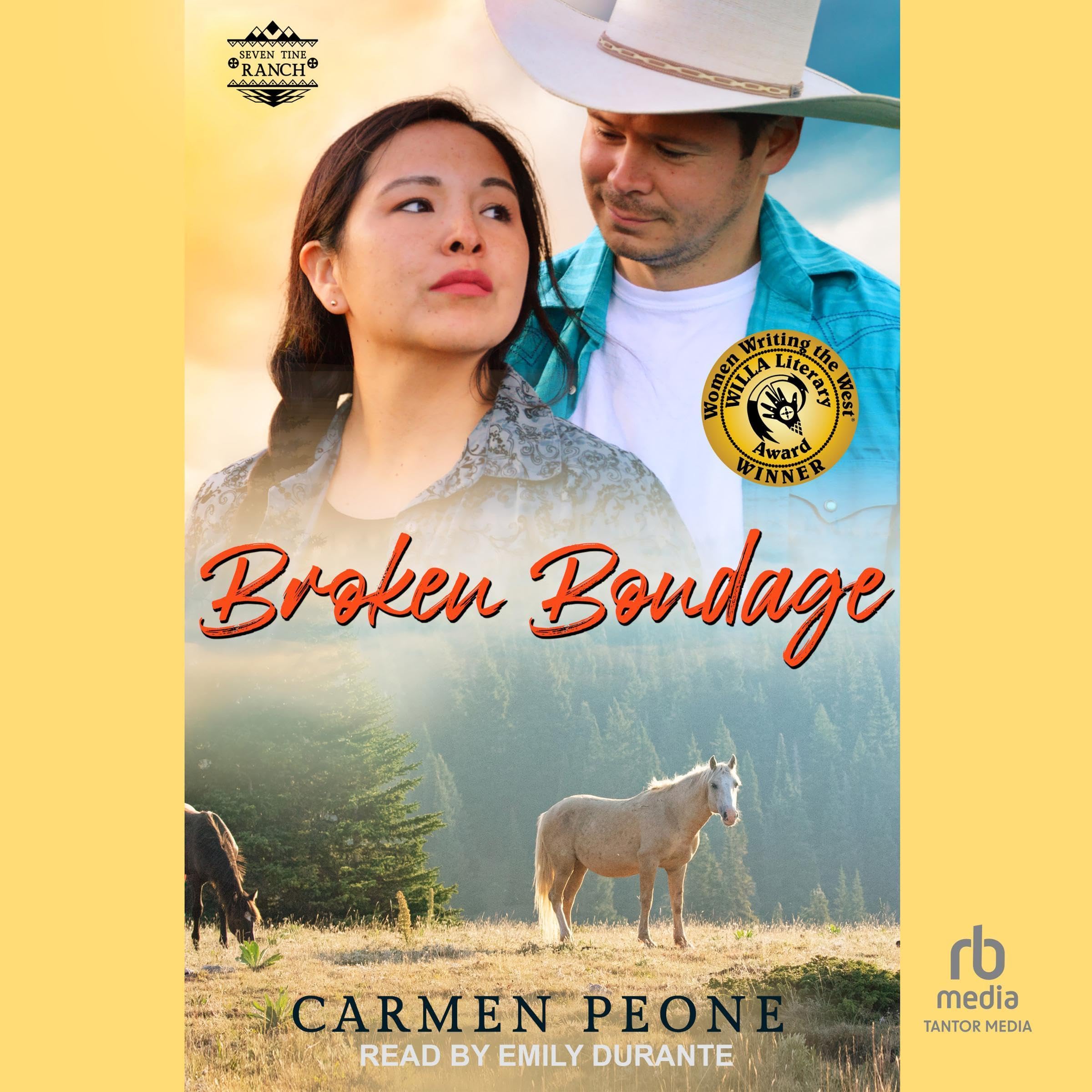 Cover art for Broken Bondage