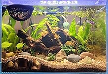 Review Image by Derrick Champagne Derrick Champagne