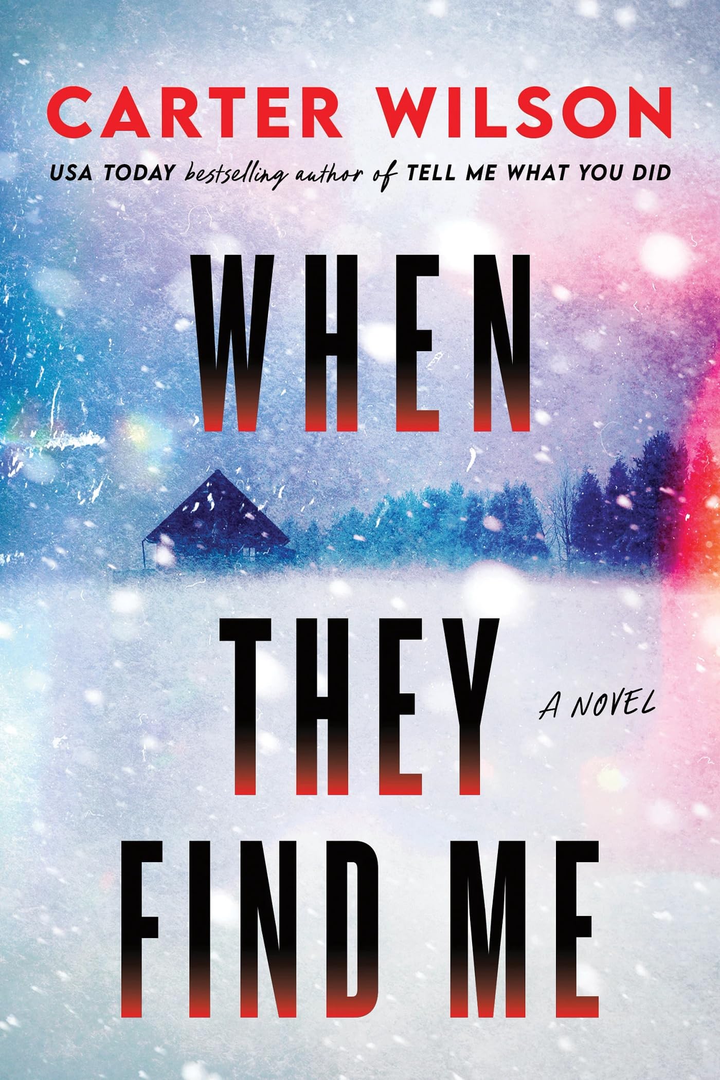 When They Find Me: A Novel